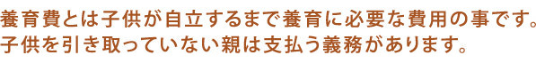 養育費とは子供が自立するまで養育に必要な費用の事です。子供を引き取っていない親は支払う義務があります。