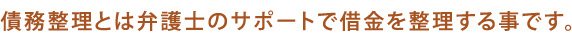 債務整理とは借金を整理することです
